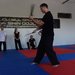 Wing Chun - Scoala de arte martiale